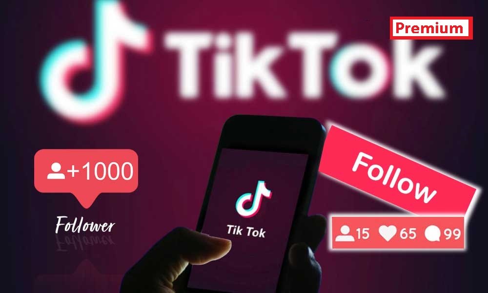 How to Increase Organic TikTok Followers Fast in 2024